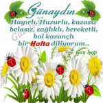1752531095752.png