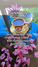 videoframe_15710.png
