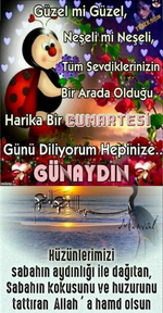 1755297312737.png