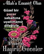 30311fad4c9eda1c7a22bac0e2266c28.jpg
