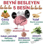 beyin_besleyen.jpg