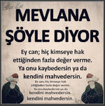 mevlana.jpg