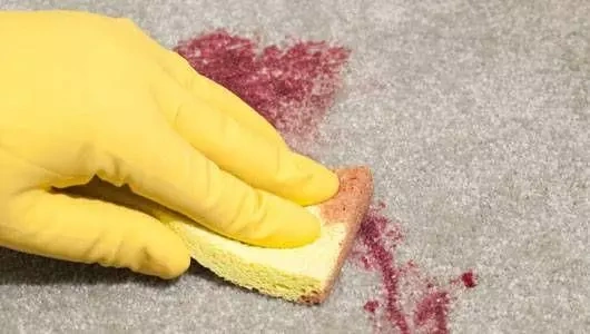 Şalgam Lekesi Nasıl Çıkar?