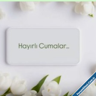 Ekran görüntüsü 2025-04-25 114437.png
